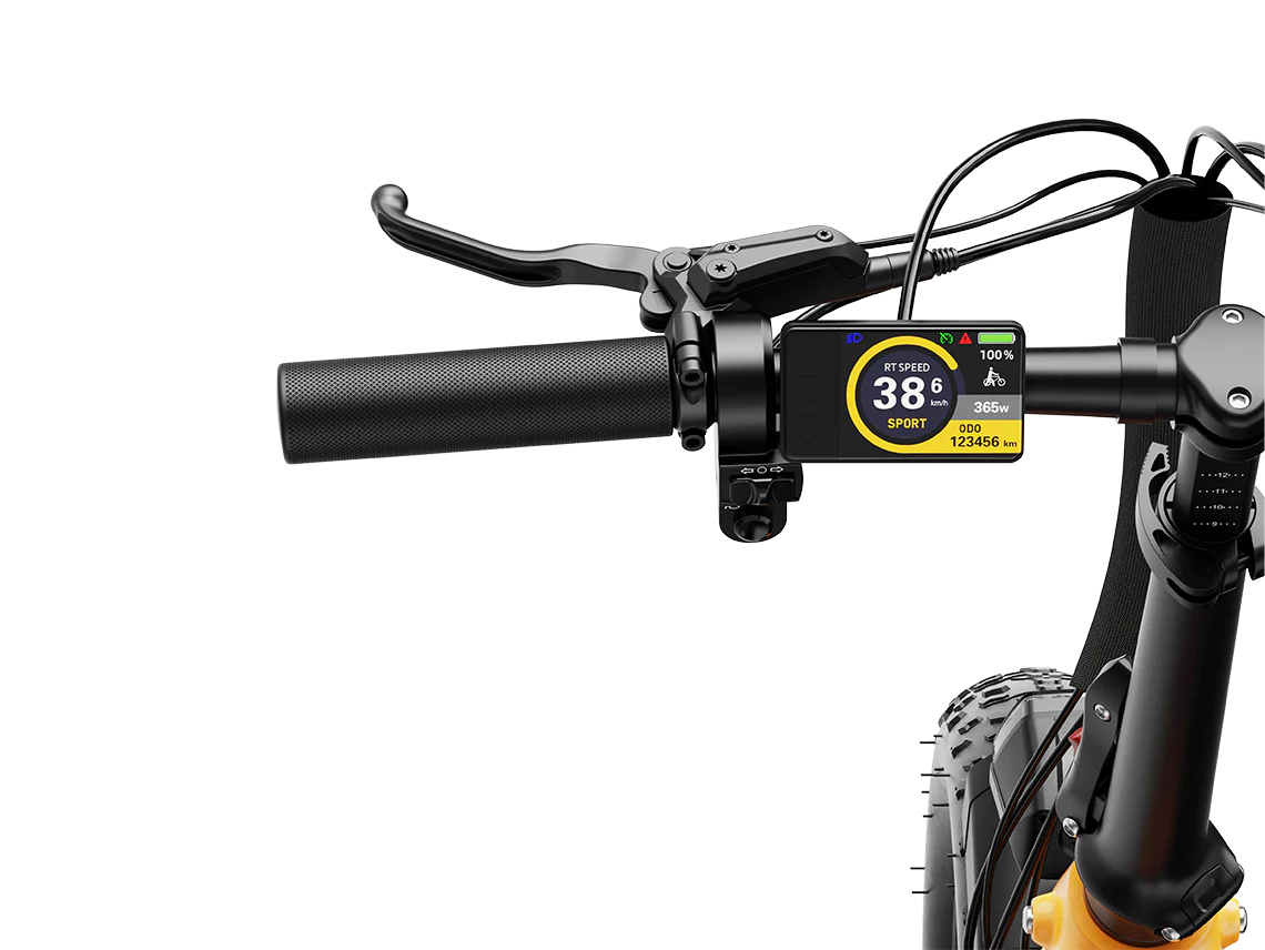 Ranger 3.0 Pro Limited Miami Sunset - Image 9